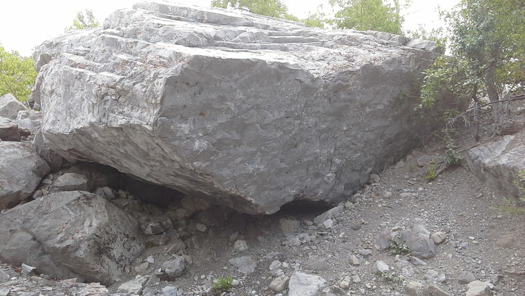 House, Cartel, and Galactic