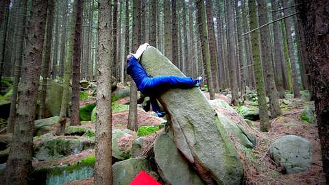 Gregor Pohl