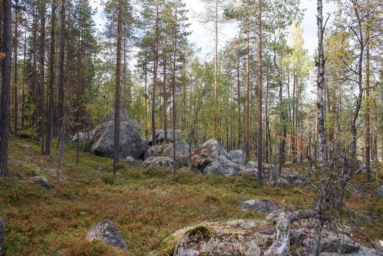 Hög konsentration nya block