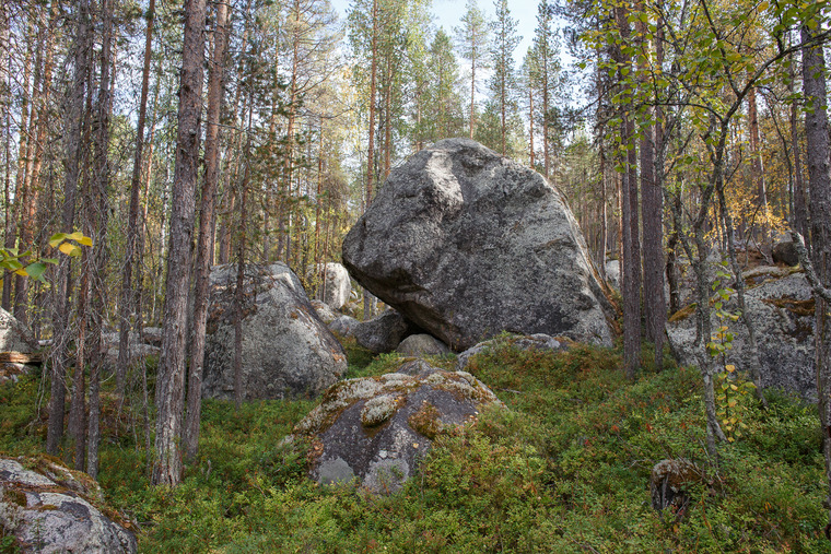 Hög konsentration nya block