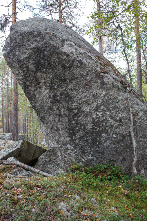Hög konsentration nya block
