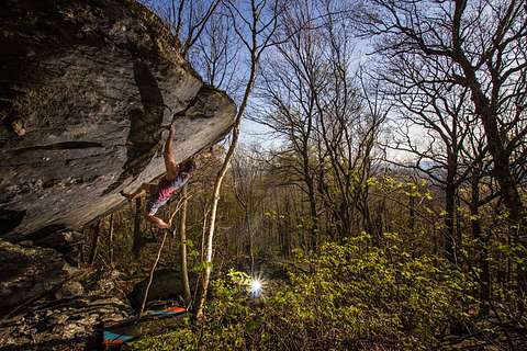 Aaron Parlier
