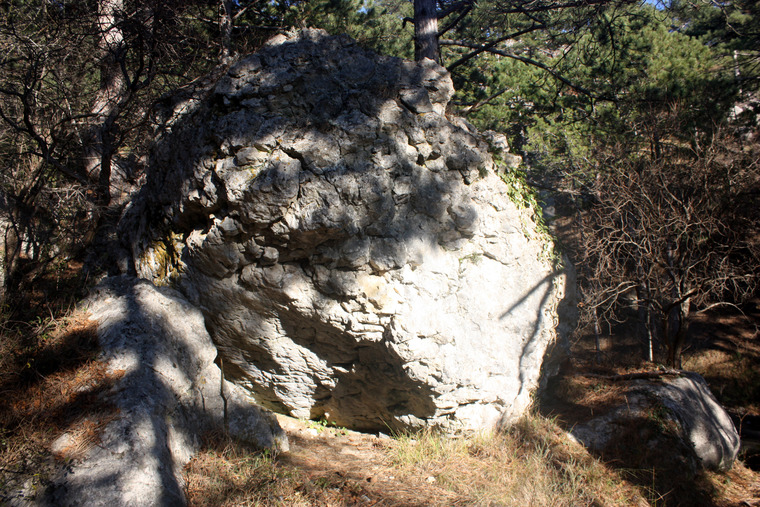 Незабудька