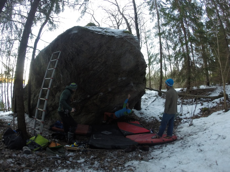 Den stora i skogskanten