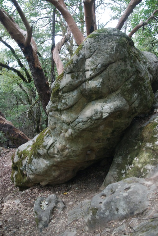 Graveyard/domino/egghead