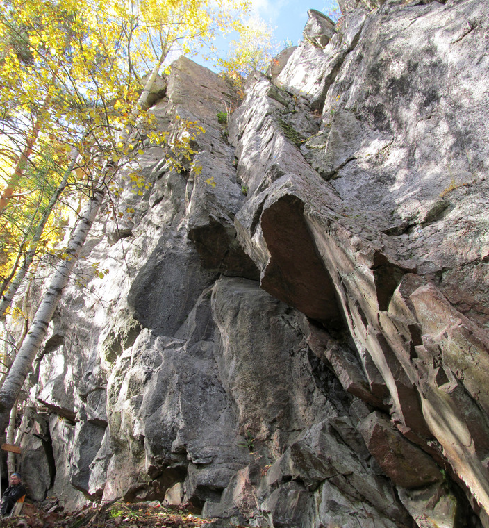 сектор Джунгли