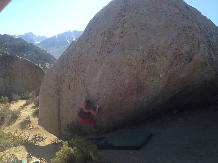 Mandala & Smooth Shrimp