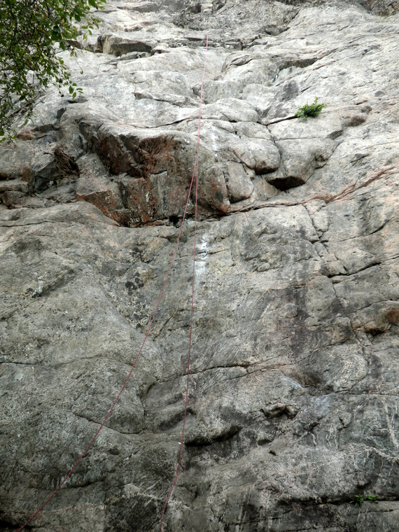 сектор Полтинник