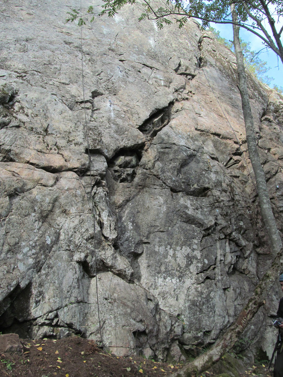 сектор Полтинник