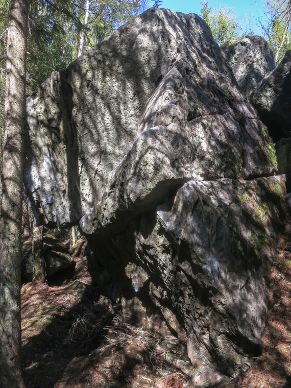 Gathering wilderness