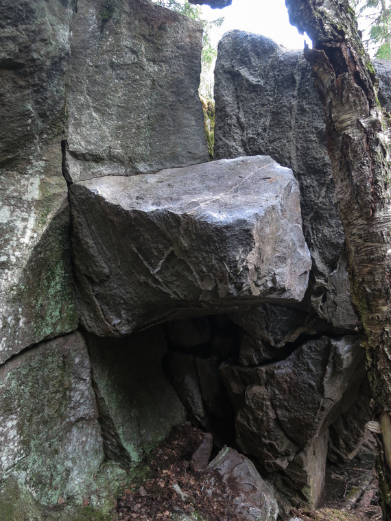 Gathering wilderness