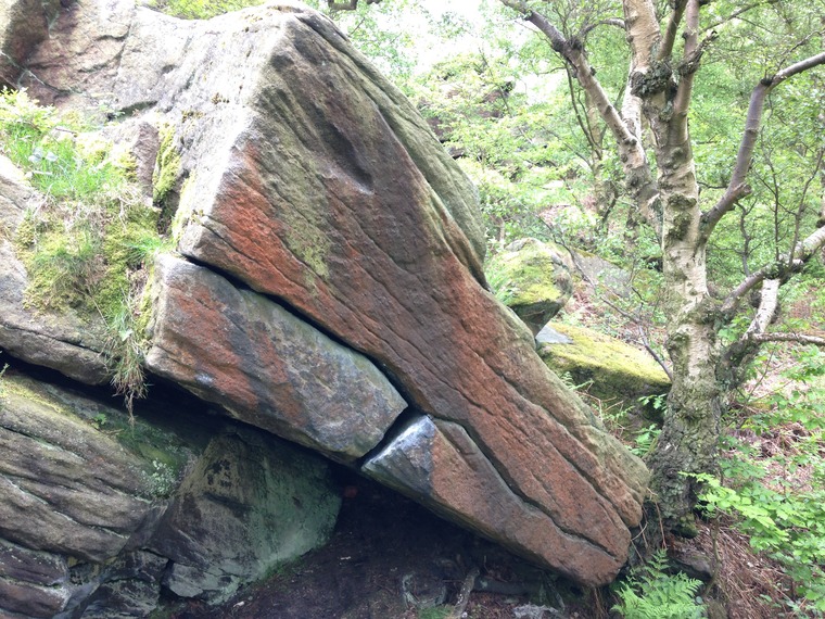 Glen Campus Area (Barbeque Rib/Low Roof)