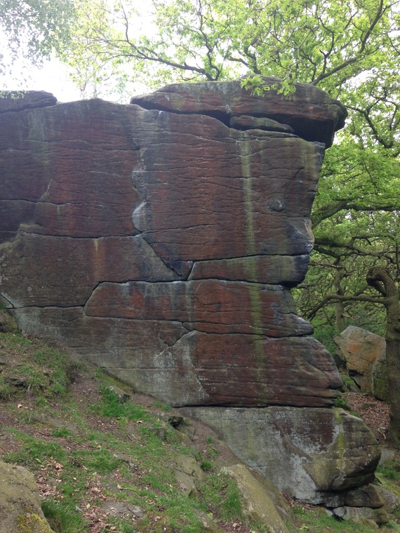 Mouse Wall Area (Tiger Wall)