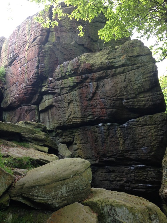 Mouse Wall Area (Tiger Wall)