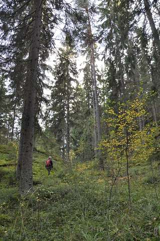 Turo Valavaara