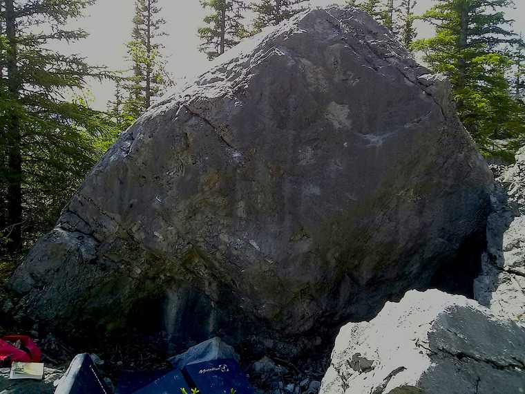 Magnus ver Magnusson