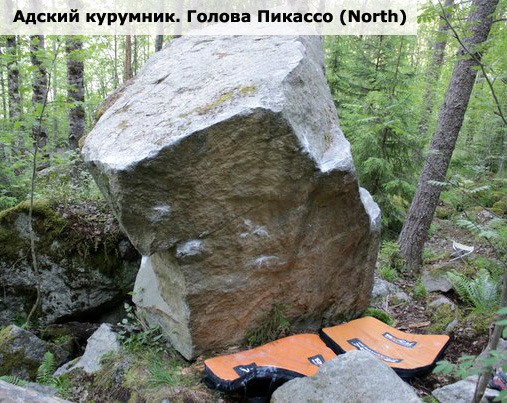 Адский курумник