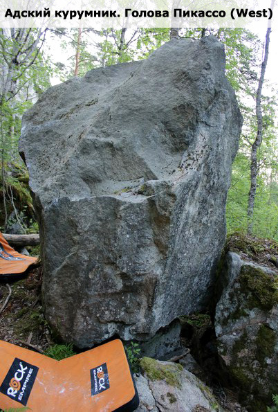 Адский курумник