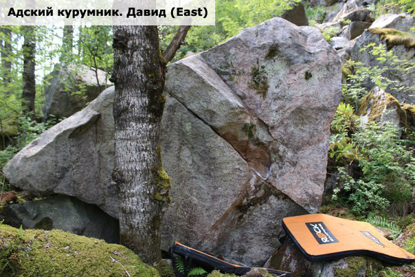 Адский курумник