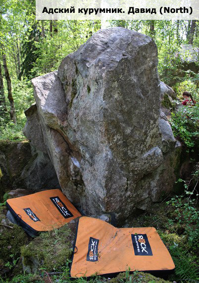 Адский курумник