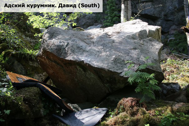 Адский курумник