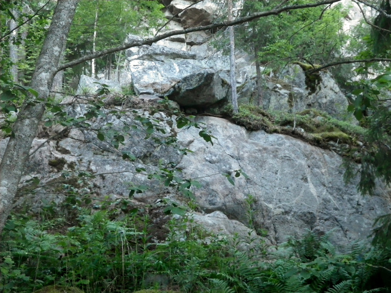 Стена Аллигатора