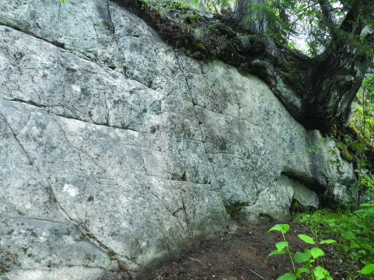 Стена Аллигатора