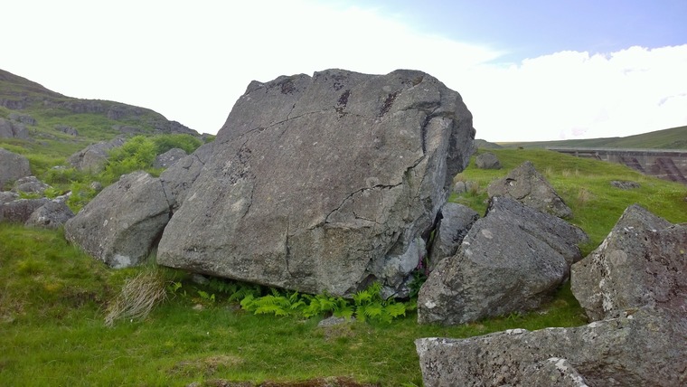 Bog Trotter / Tsunami