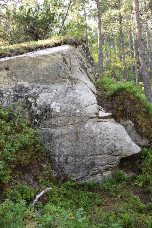 Witness the shitness