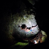 Alexander Gradenegger