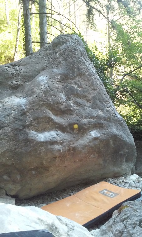 Плющиха, Лиза