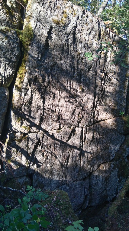 Gathering wilderness