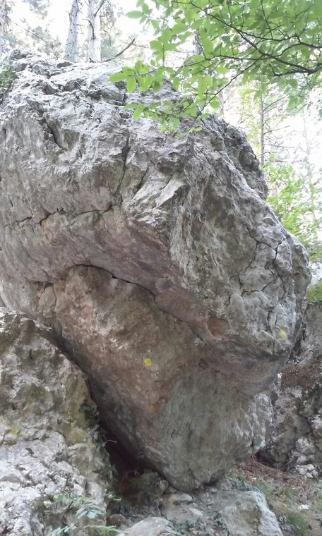 Ошибка Природы