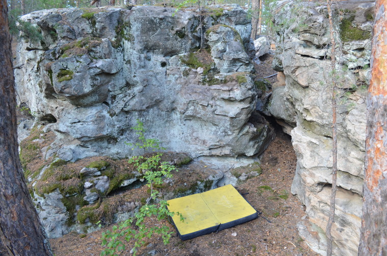 Подберёзовик