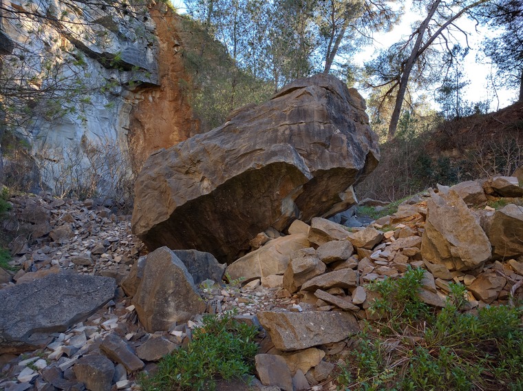 SDF (The Independent)