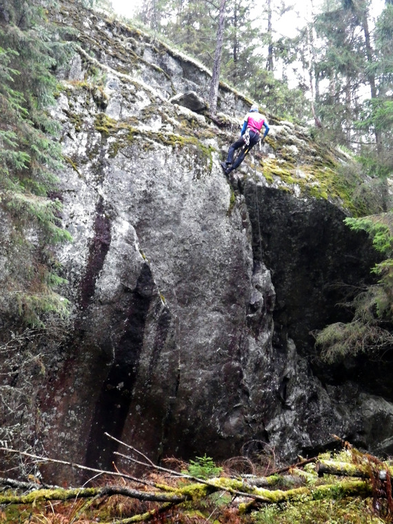 сектор Наутилус
