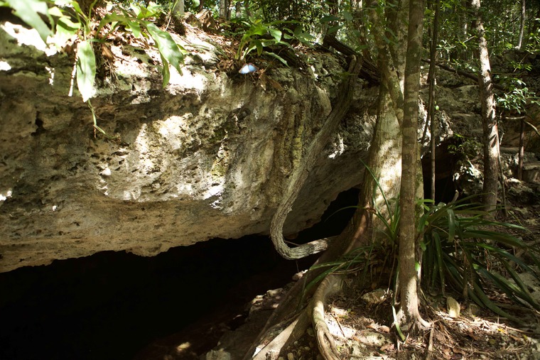Cenote Los Alamos