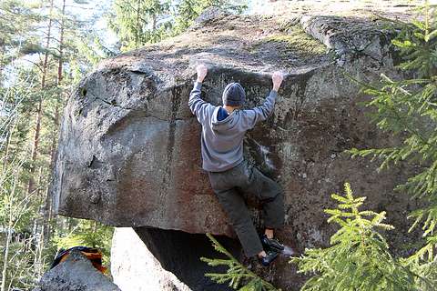 Antti Suomela