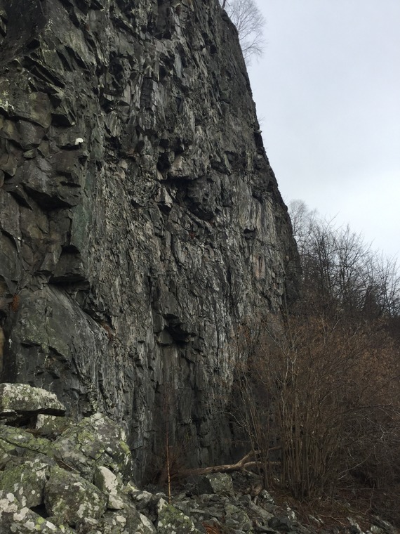 Sauejordet (Hovedveggen)