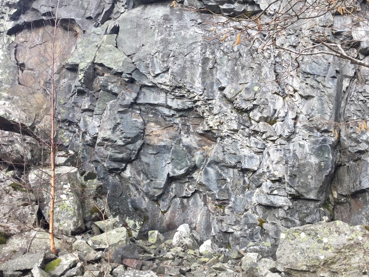 Sauejordet (Hovedveggen)