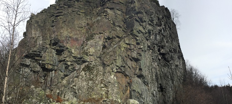 Sauejordet (Hovedveggen)