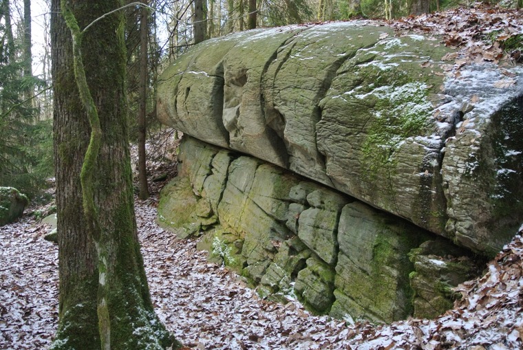 6. Valen och döda skogen