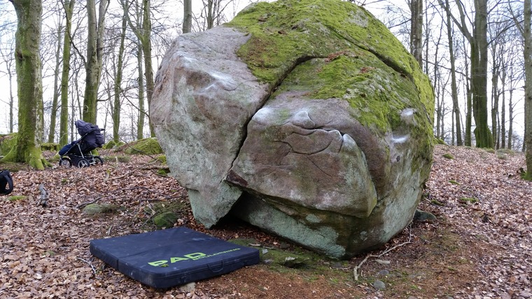 Första dvärgen i skogen