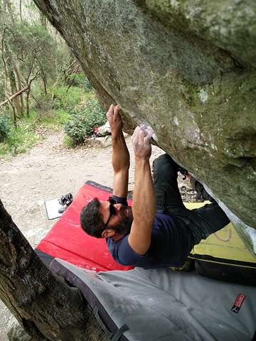Federico Galante