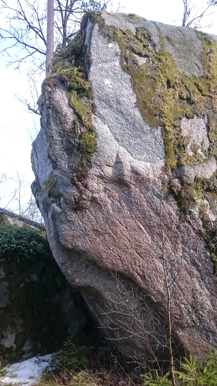 Gamla hygget (oklättrade)