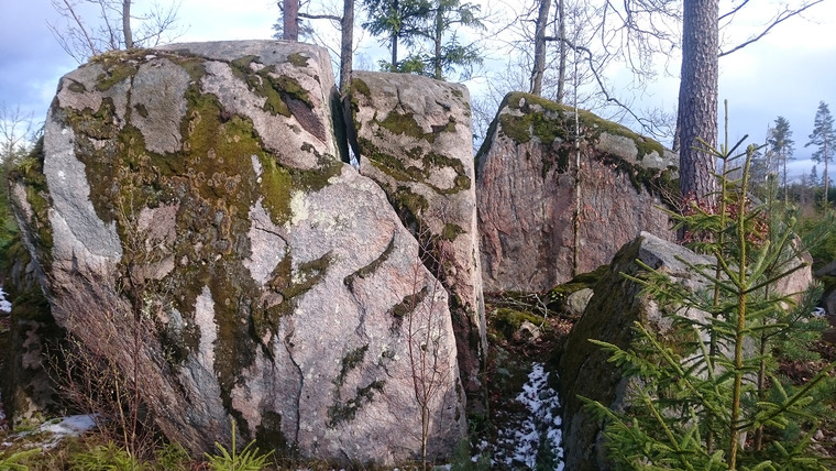 Gamla hygget (oklättrade)