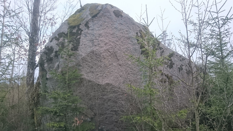 Gamla hygget (oklättrade)