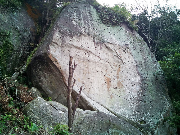 Sector - Boulder Inno