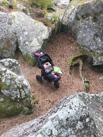 Anniken Nagelhus