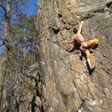 Richard Nowak Delgado